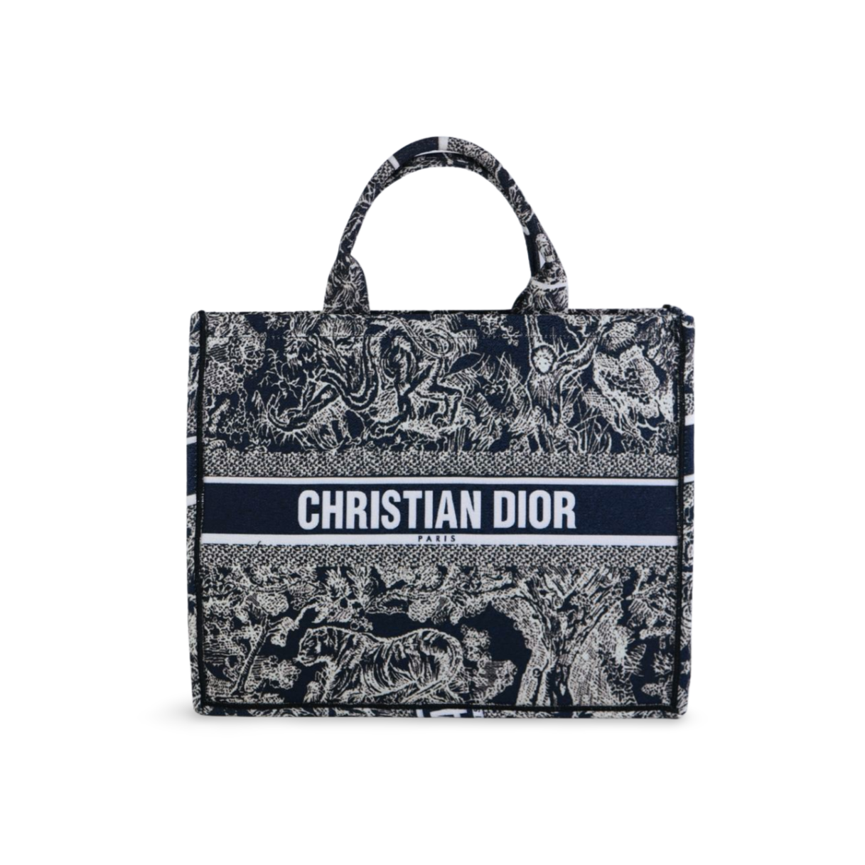 Medium DIOR Tote Bag | Designer Tote Bags for Women – Stylon